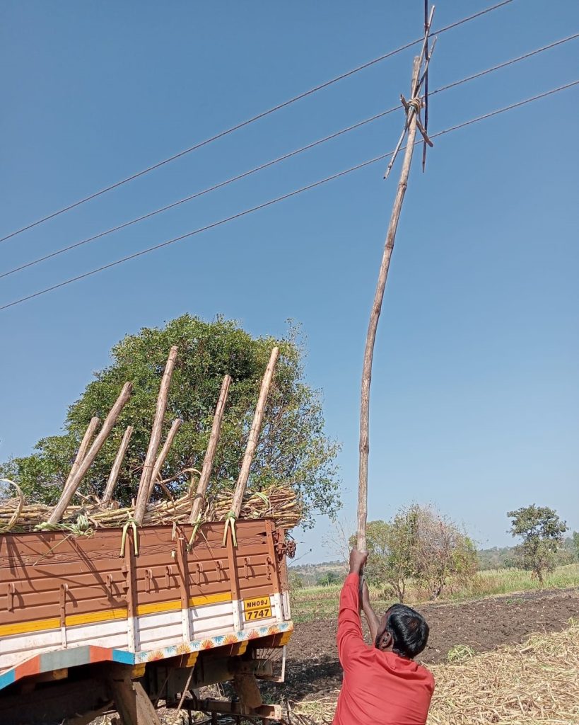 वीजवाहिन्यांच्या धोक्यापासून हेस्कॉम सावध होणार का? Will Hescom be alert to the danger of power lines?