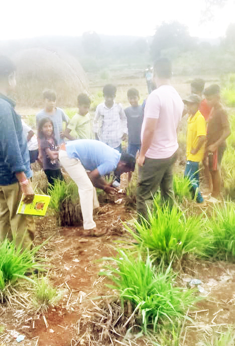 कर्ले परिसरात बिबट्या सदृश प्राण्याचा वावर Leopard-like animal behavior in Kurle area