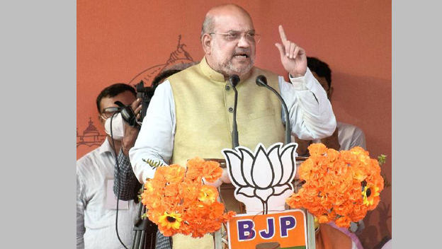 Raloa has just won 310 seats!