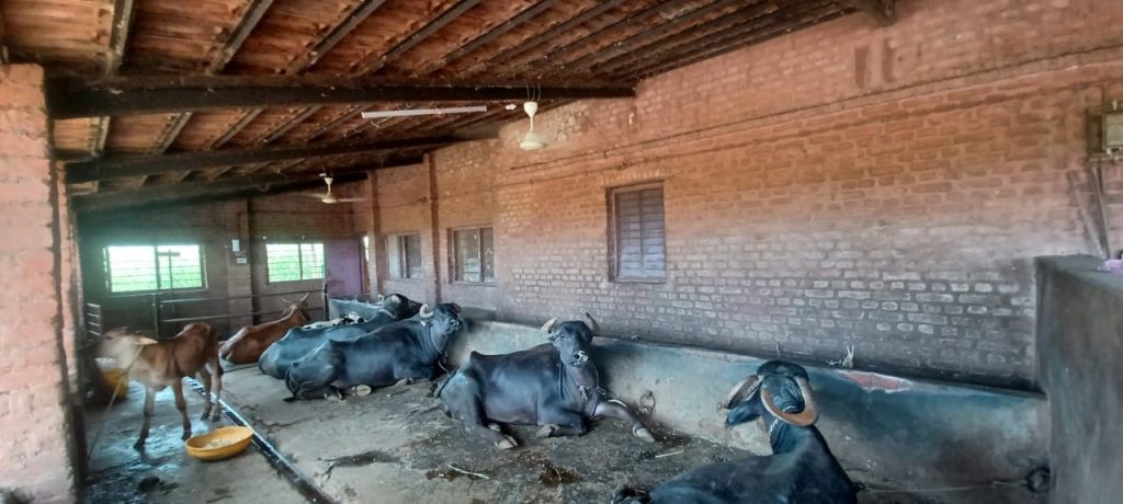 People are shocked by the scorching heat