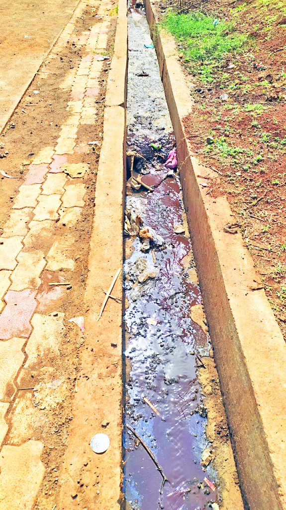 मळेकरणीसाठी बळींच्या बकऱ्यांचे रक्त-टाकाऊ पदार्थ गावच्या वेशीपर्यंत Blood-letting of sacrificial goats to the gate of the village for slaughtering