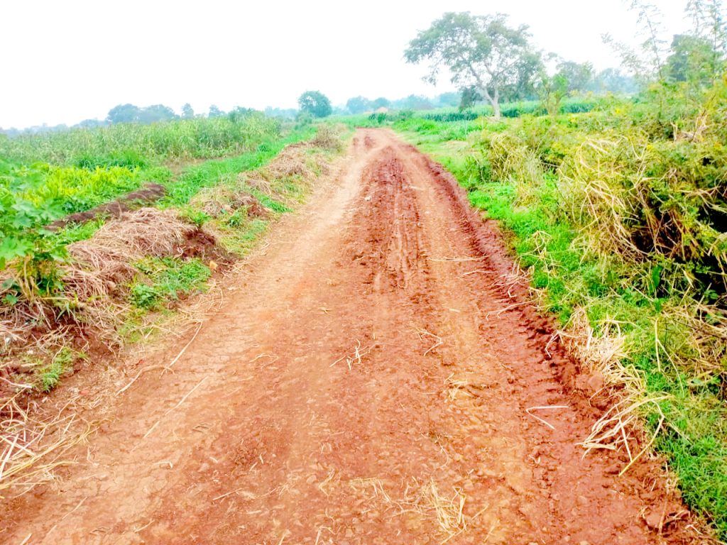 कंग्राळी बुद्रुक शिवारातील रस्त्यांची पावसाळ्यापूर्वी दुरुस्ती करा Repair roads in Kangrali Budruk Shivara before monsoon