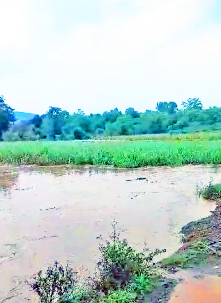 Rain showers with gales in western areas