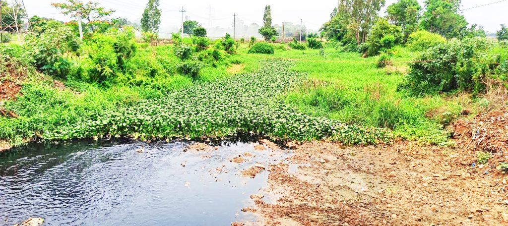 Ballari Nala in Jalparni's flood: danger to farmers