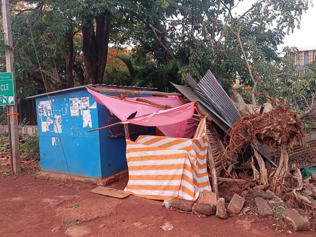 A tree fell at Bahadarwadi cross due to rain