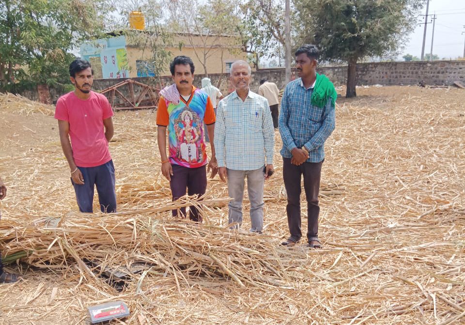 चाऱ्याविना मुक्या जनावरांचे हाल The plight of dumb animals without fodder