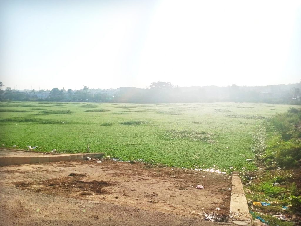 Kangrali Budruk's Kigadi Lake in the thicket of Jalparni