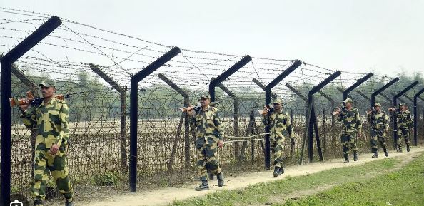 मधमाशा करणार आता सीमेचे रक्षण The bee will now protect the border