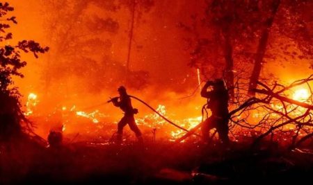 कुची येथे बेकरीस शार्ट सर्किटने आग आठ लाखाची हानी Take effective steps to control wildfires