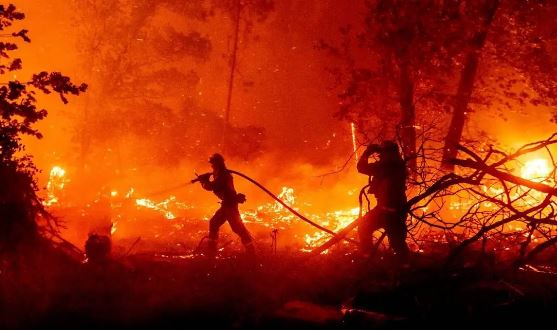 कुची येथे बेकरीस शार्ट सर्किटने आग आठ लाखाची हानी Take effective steps to control wildfires