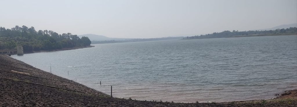 राकसकोप जलाशय परिसरात दमदार पाऊस Heavy rain in Rakskop Reservoir area