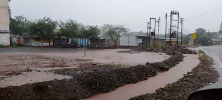 मिरज तालुक्यामध्ये मुसळधार पाऊस! शेतीमशागतींना वेग येणार Sangli Miraj Taluka Heavy rain