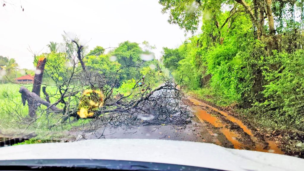 कुद्रेमनी परिसरात जोरदार पाऊस Heavy rain in Kudremani area