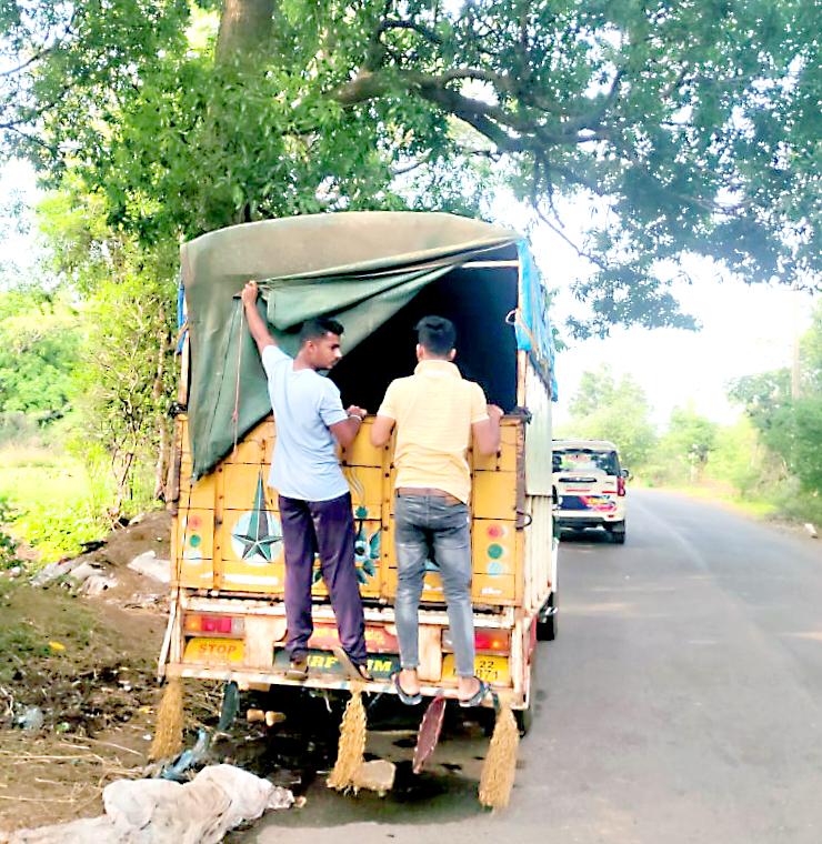 Action on meat transport vehicle