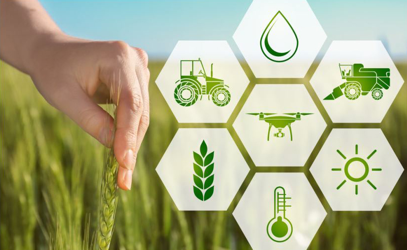 कृषी व्यापारातील परिवर्तन-ब्लॉकचेन तंत्रज्ञान Transforming Agribusiness-Blockchain Technology