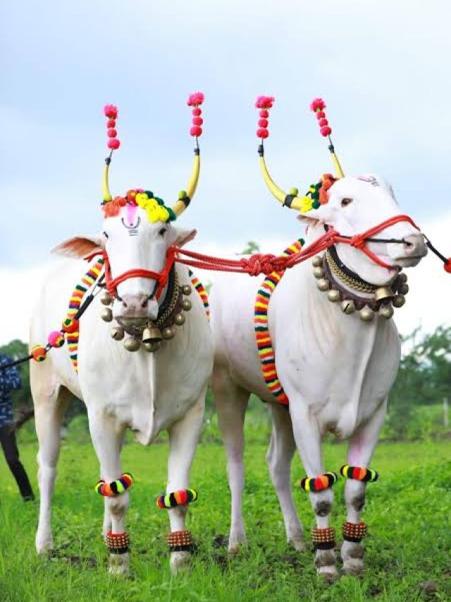 कर्नाटकी बेंदूर का साजरा केला जातो  
