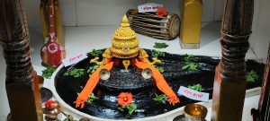 Huge crowd of devotees gathers at Vitthal temples in the city for darshan