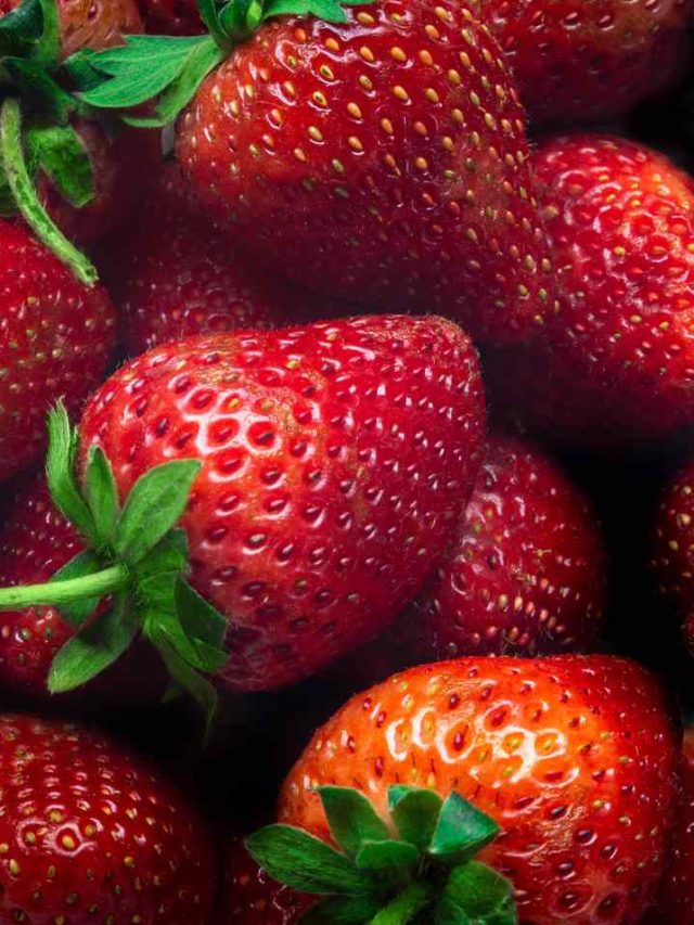 स्ट्रॉबेरी खाण्याचे पाच जबरदस्त फायदे    eating strawberry daily beneficial for health marathi news 